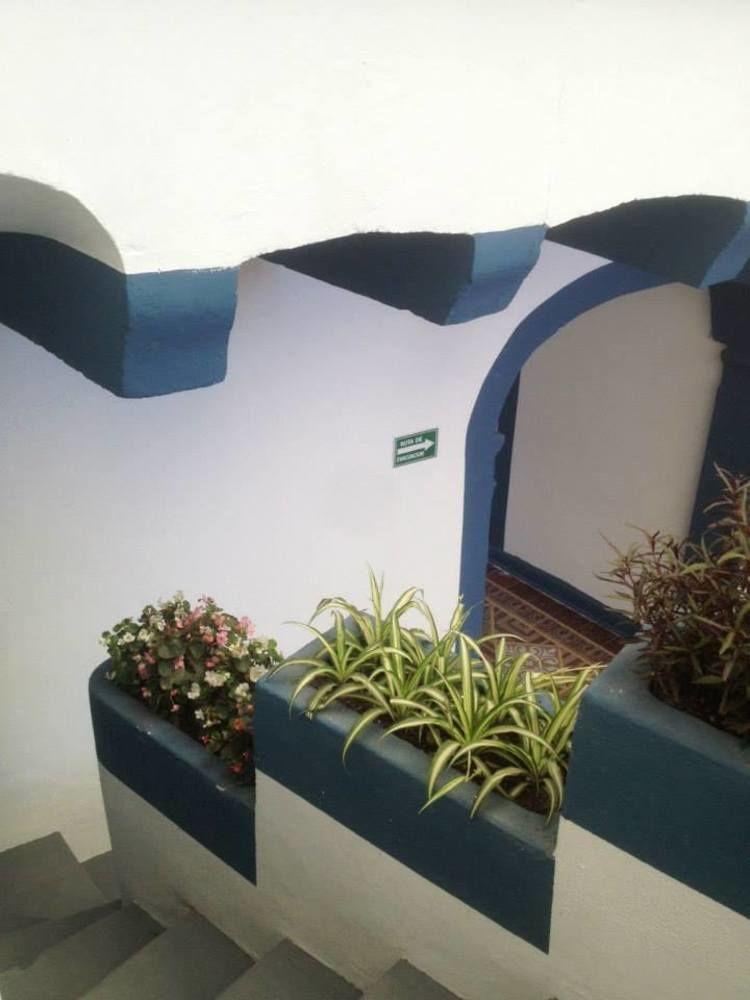 Хостел Blue Bicycle House Керетаро Екстер'єр фото